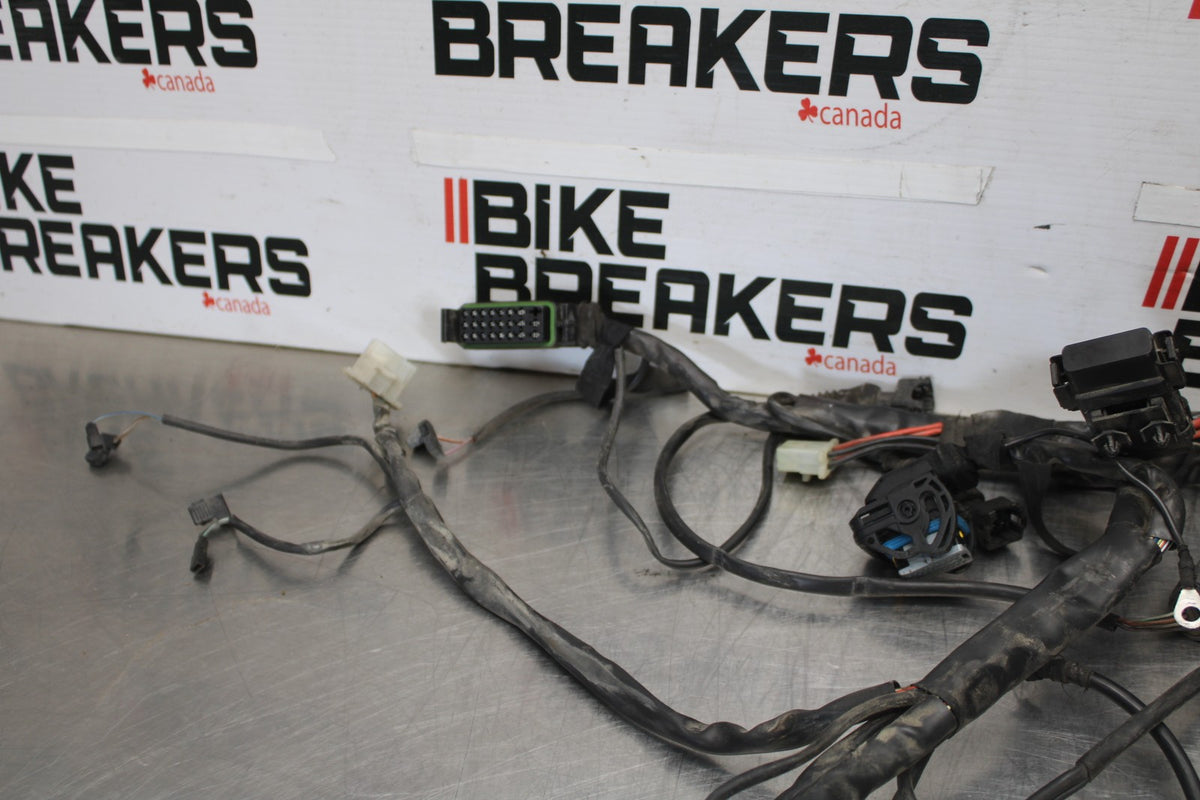 05 DUCATI SUPERSPORT 800 MAIN ENGINE WIRING HARNESS MOTOR WIRE LOOM BB913