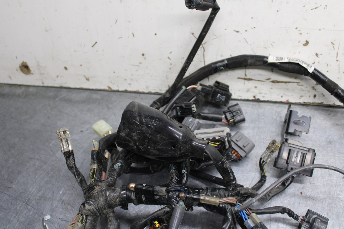 24 KAWASAKI NINJA 500 ABS MAIN ENGINE WIRING HARNESS MOTOR WIRE LOOM BB744