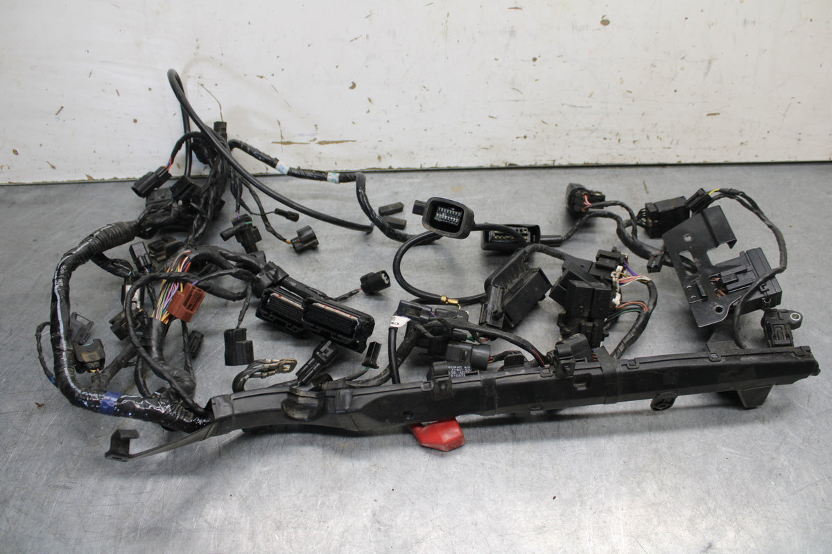 14-15 TRIUMPH STREET TRIPLE R MAIN ENGINE WIRING HARNESS MOTOR WIRE LOOM BB441
