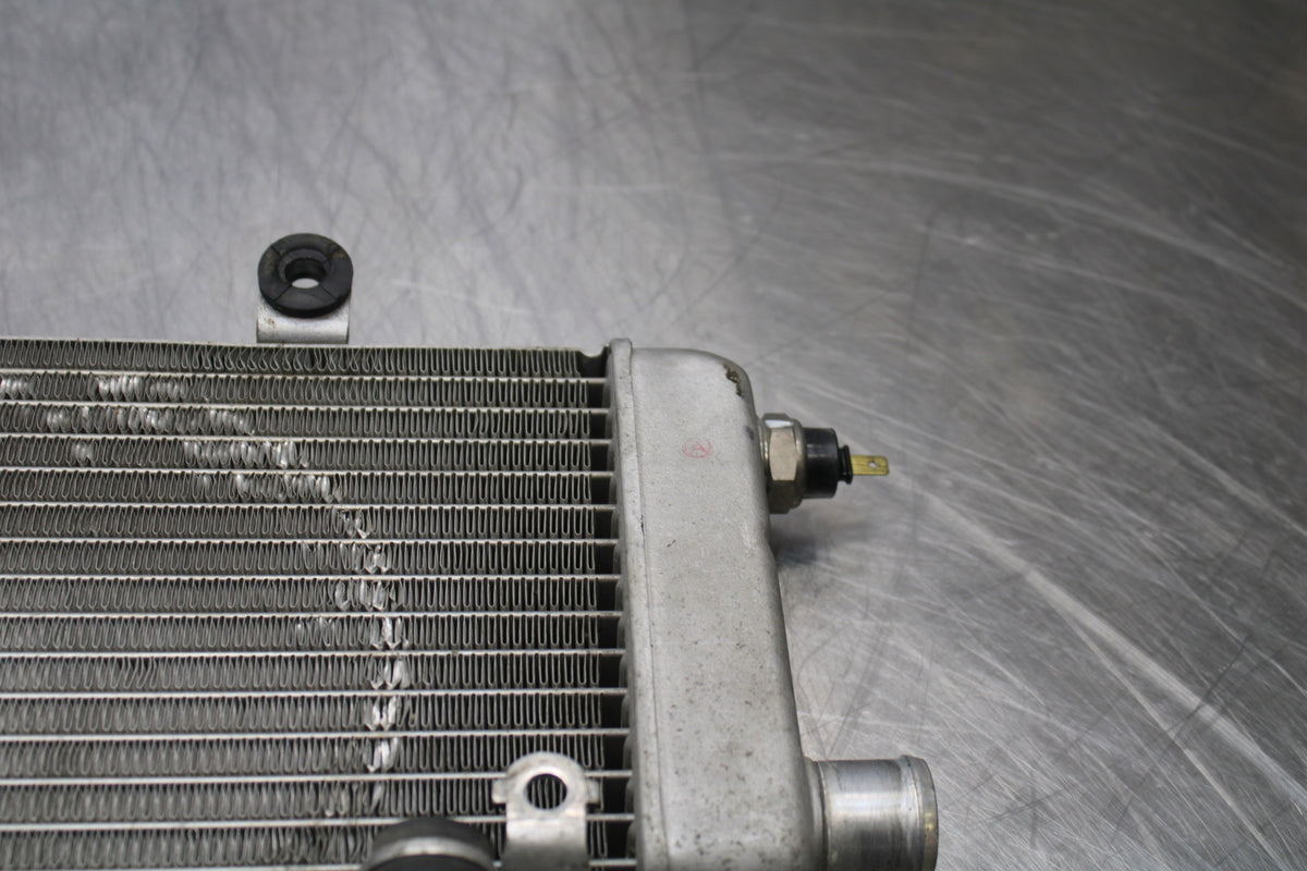 98-05 HONDA SUPER HAWK 1000 VTR1000F RIGHT ENGINE RADIATOR MOTOR COOLER BB152