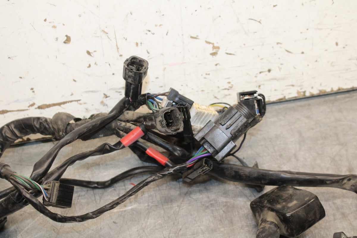 14-16 TRIUMPH AMERICA LT MAIN ENGINE WIRING HARNESS MOTOR WIRE LOOM BB720