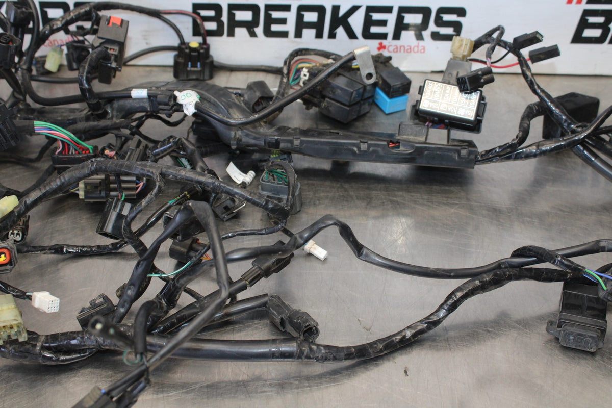 20 TRIUMPH STREET TRIPLE 765 MAIN ENGINE WIRING HARNESS MOTOR WIRE LOOM BB864