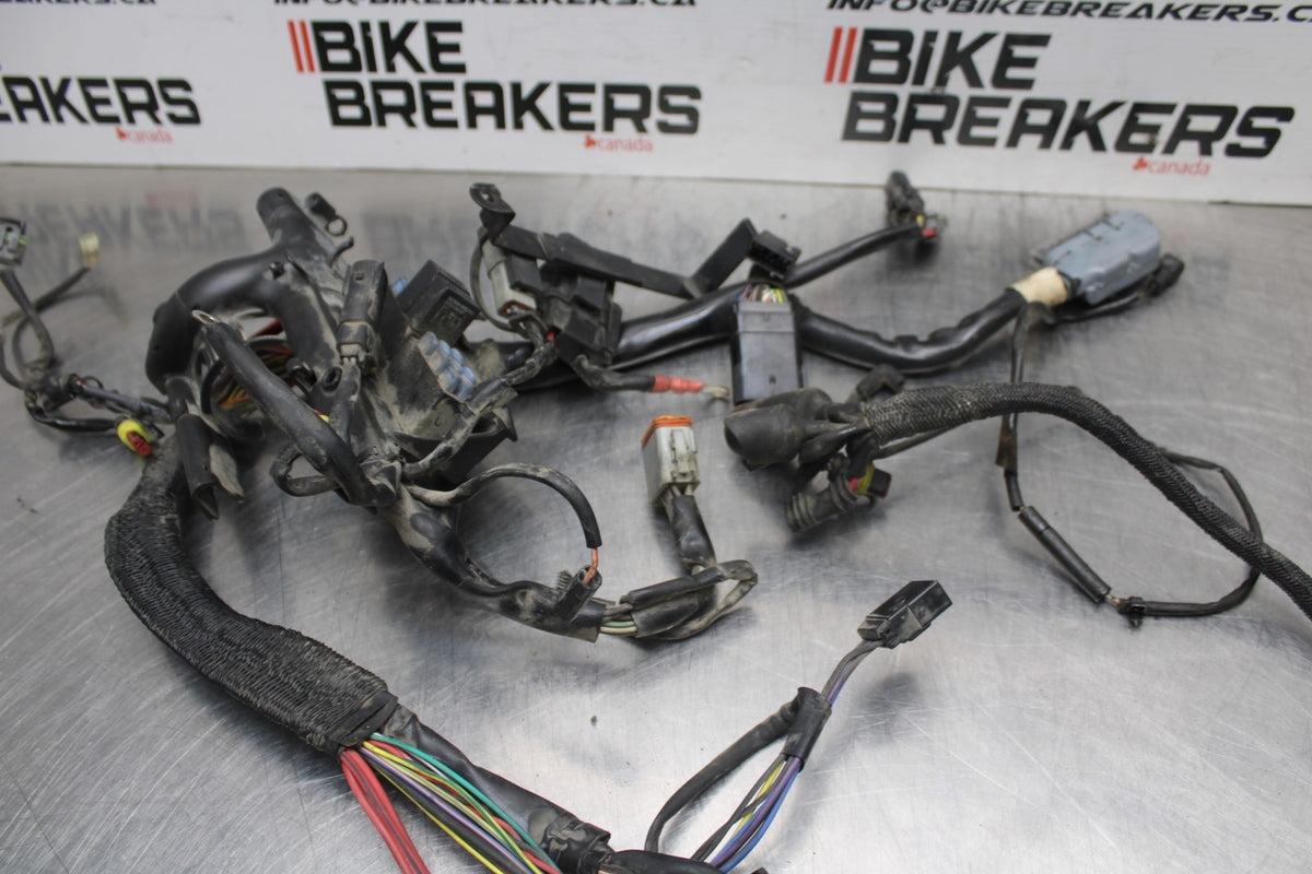 08 HARLEY-DAVIDSON SPORTSTER 1200 MAIN ENGINE WIRING HARNESS WIRE LOOM BB794