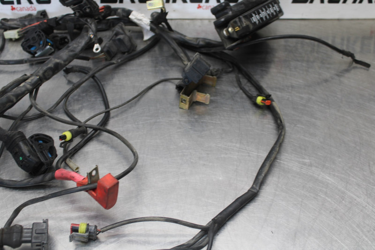 05 DUCATI SUPERSPORT 800 MAIN ENGINE WIRING HARNESS MOTOR WIRE LOOM BB913
