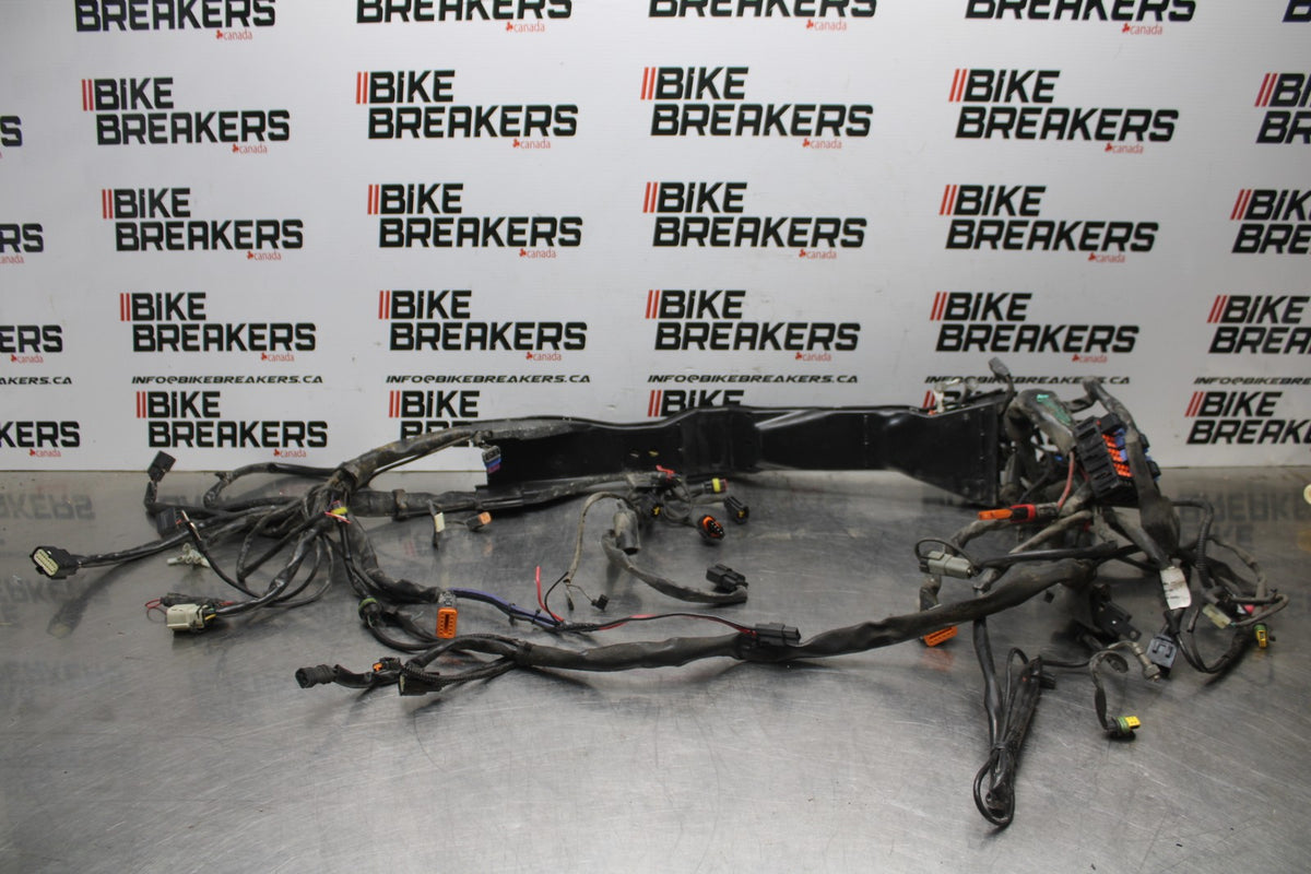 08 HARLEY-DAVIDSON ELECTRA GLIDE POLICE EFI FLHTPI MAIN WIRING HARNESS BB816