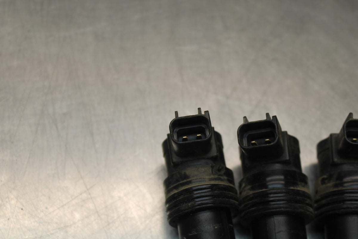 15 TRIUMPH TIGER 800 IGNITION COILS COIL SPARK PLUG CAPS BB873