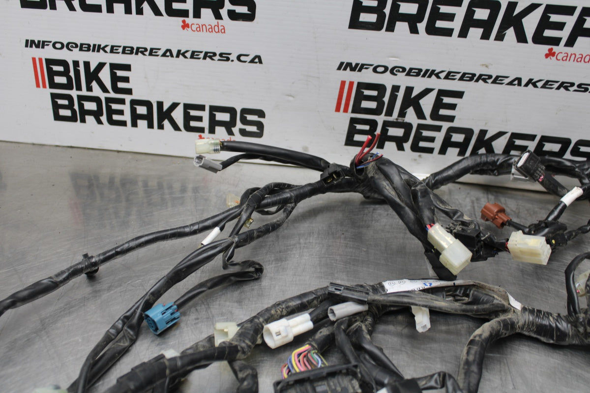23 YAMAHA YZF R3 MAIN ENGINE WIRING HARNESS MOTOR WIRE LOOM BB806