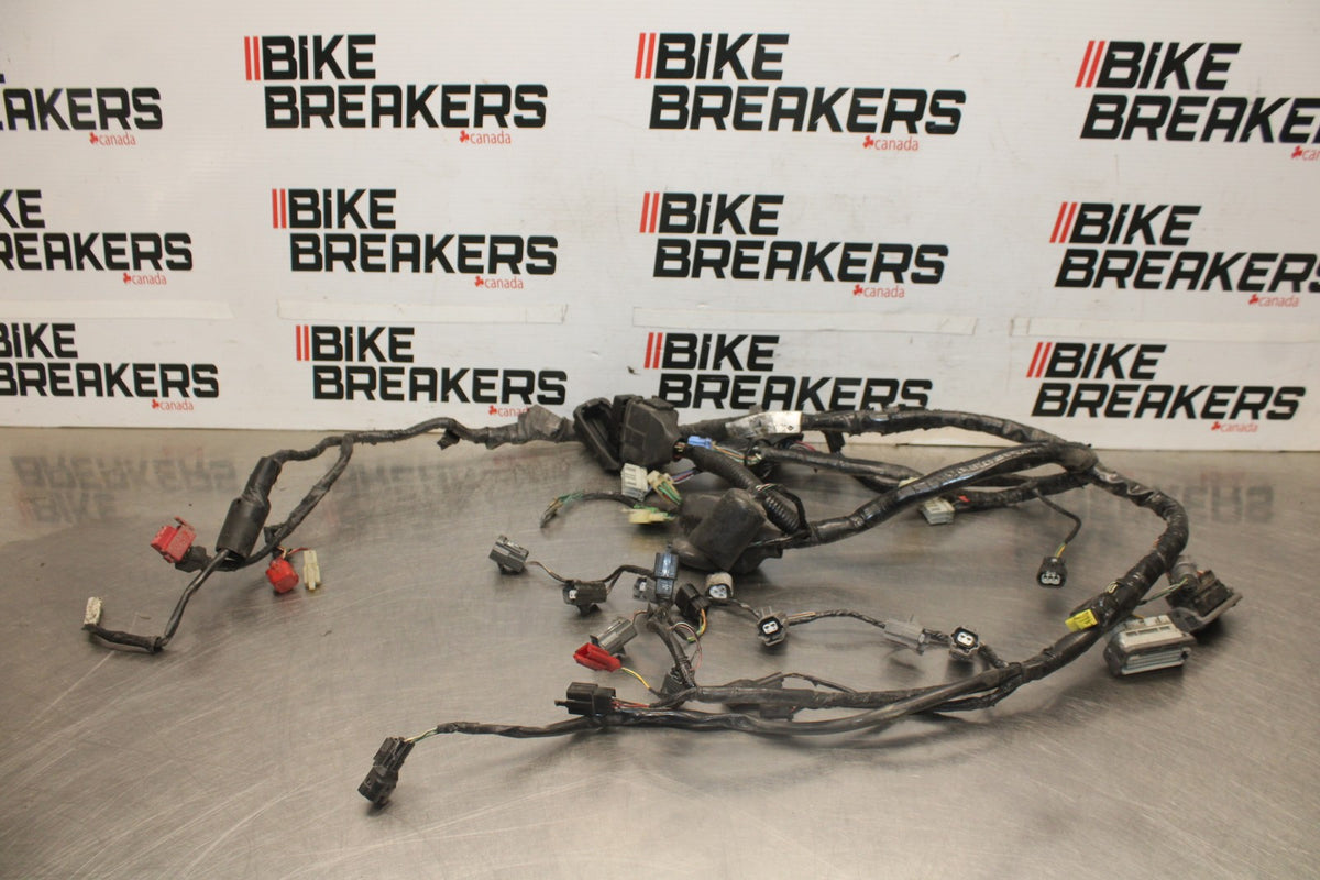 05-06 HONDA CBR600RR MAIN ENGINE WIRING HARNESS MOTOR WIRE LOOM BB945