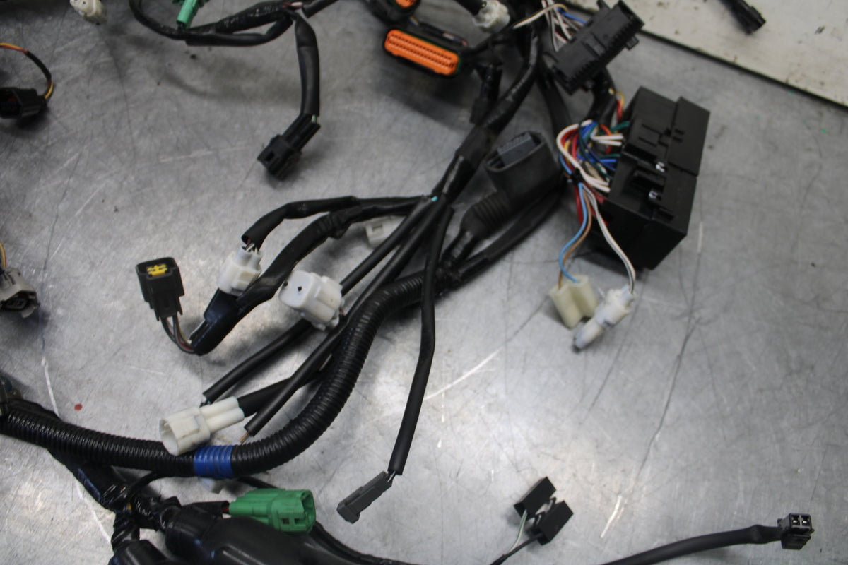 17-24 SUZUKI SV650 MAIN ENGINE WIRING HARNESS MOTOR WIRE LOOM BB706