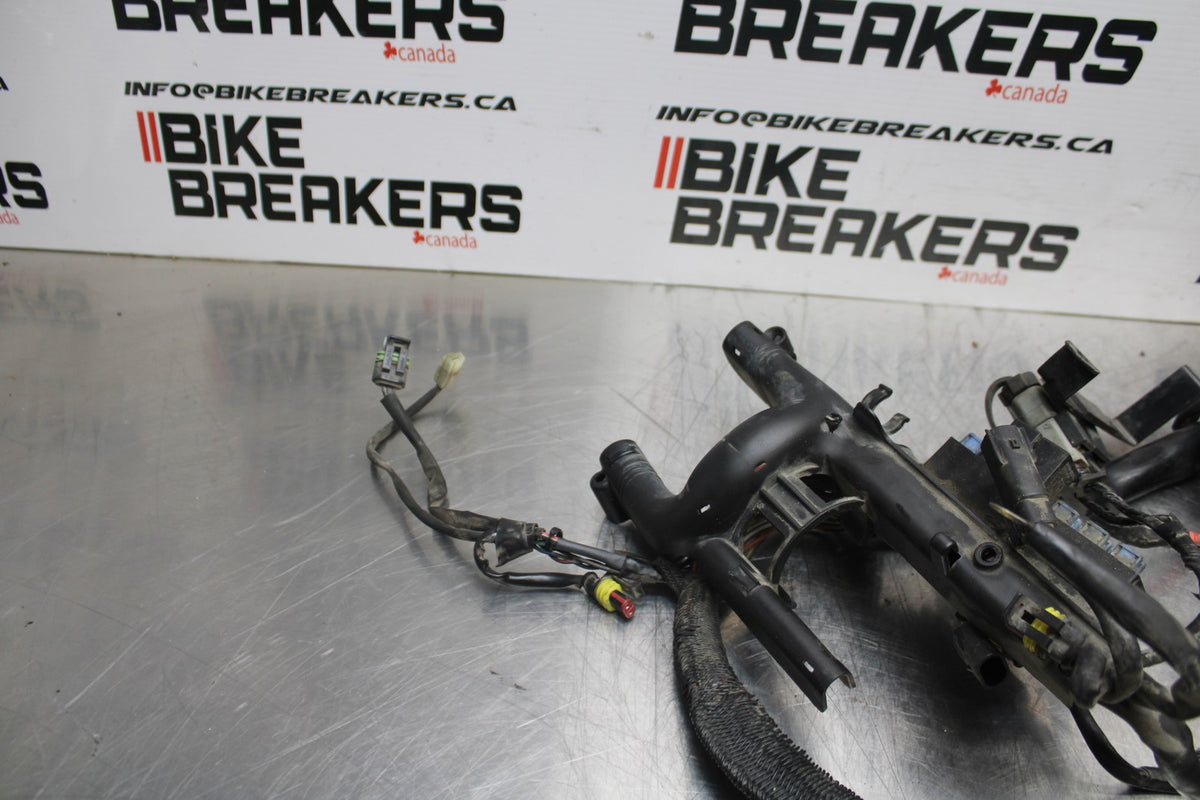 08 HARLEY-DAVIDSON SPORTSTER 1200 MAIN ENGINE WIRING HARNESS WIRE LOOM BB794