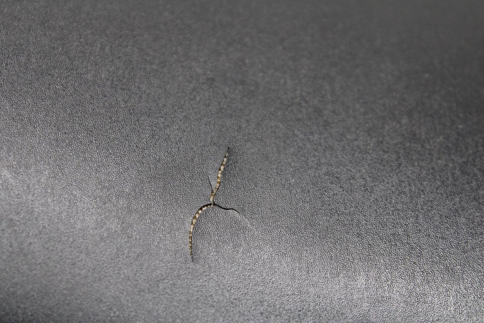 2007 Yamaha YZF R1 FRONT DRIVERS SEAT PAD SADDLE PILLION 4C8-24710-00-00 BB483