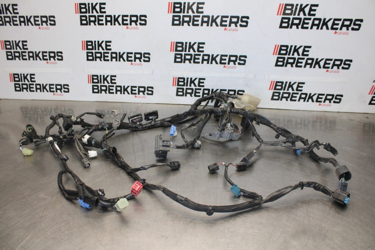 23 KAWASAKI NINJA 650 EX650 MAIN ENGINE WIRING HARNESS MOTOR WIRE LOOM BB920