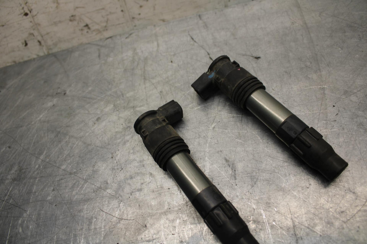 17 KAWASAKI VERSYS_X 300 IGNITION COILS COIL SPARK PLUG CAPS BB504