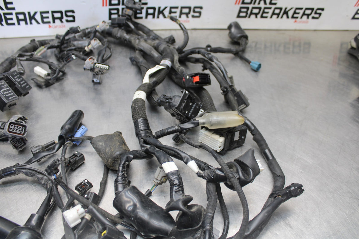 23-26 KAWASAKI NINJA ZX4RR MAIN ENGINE WIRING HARNESS MOTOR WIRE LOOM BB898