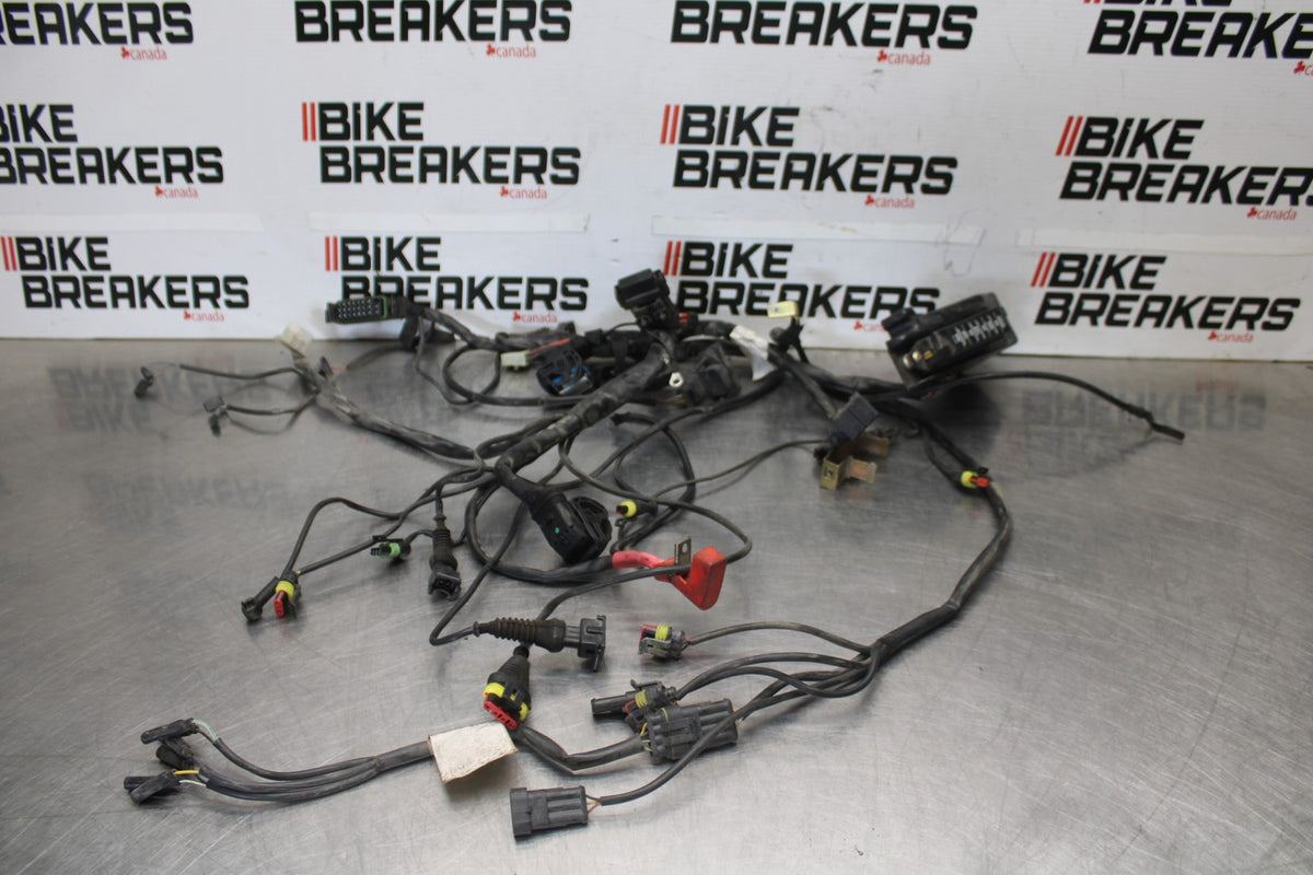 05 DUCATI SUPERSPORT 800 MAIN ENGINE WIRING HARNESS MOTOR WIRE LOOM BB913
