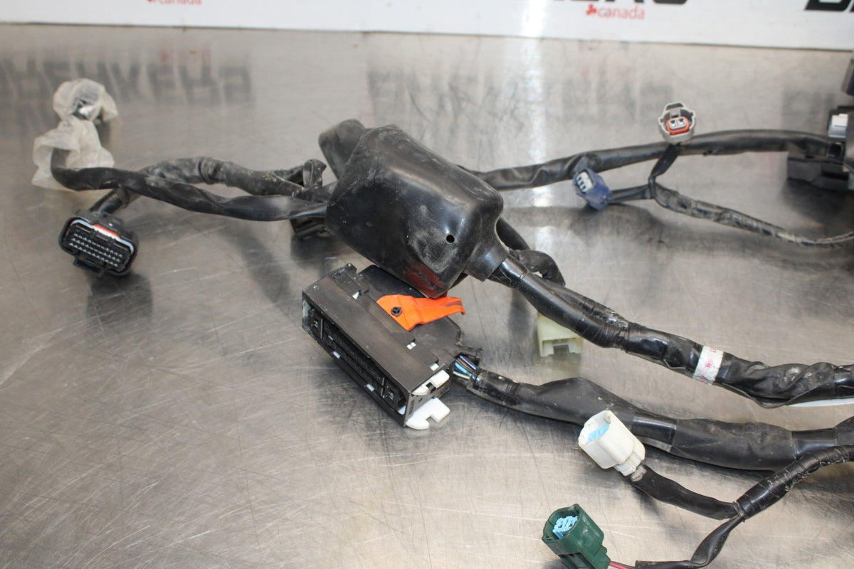 18 YAMAHA SUPER TENERE MAIN ENGINE WIRING HARNESS MOTOR WIRE LOOM BB832