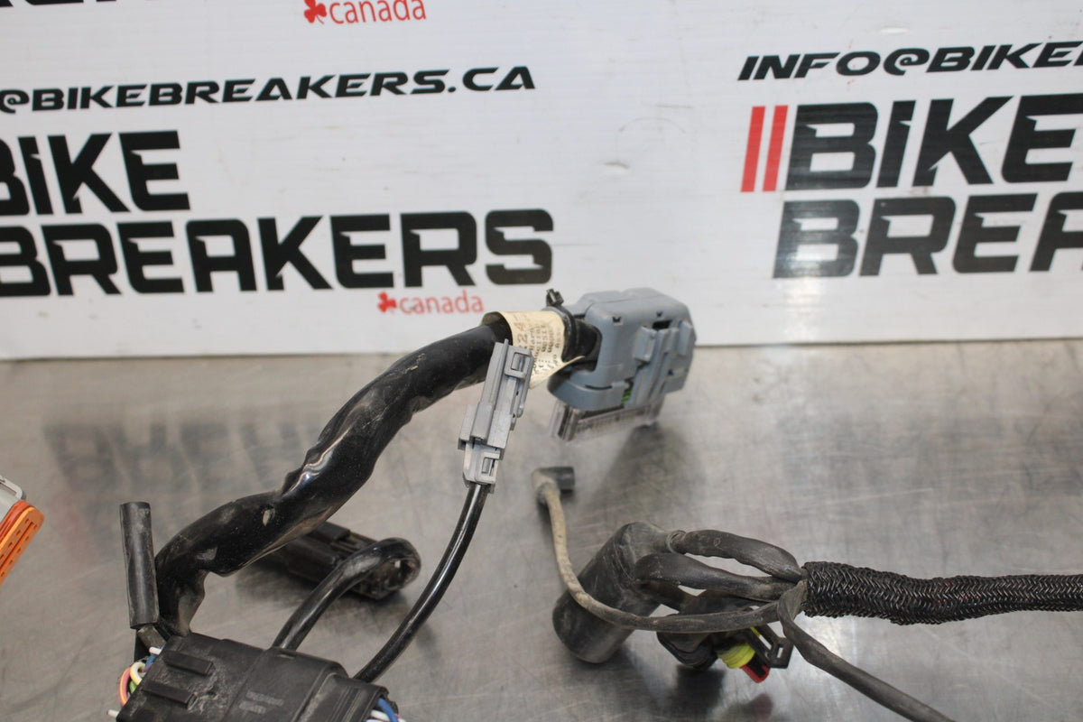 07 HARLEY-DAVIDSON SPORTSTER 1200 XL1200C MAIN ENGINE WIRING HARNESS  BB833