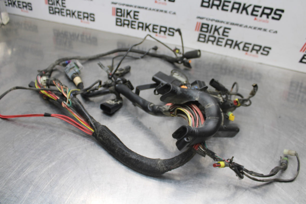 08 HARLEY-DAVIDSON SPORTSTER 1200 MAIN ENGINE WIRING HARNESS WIRE LOOM BB794