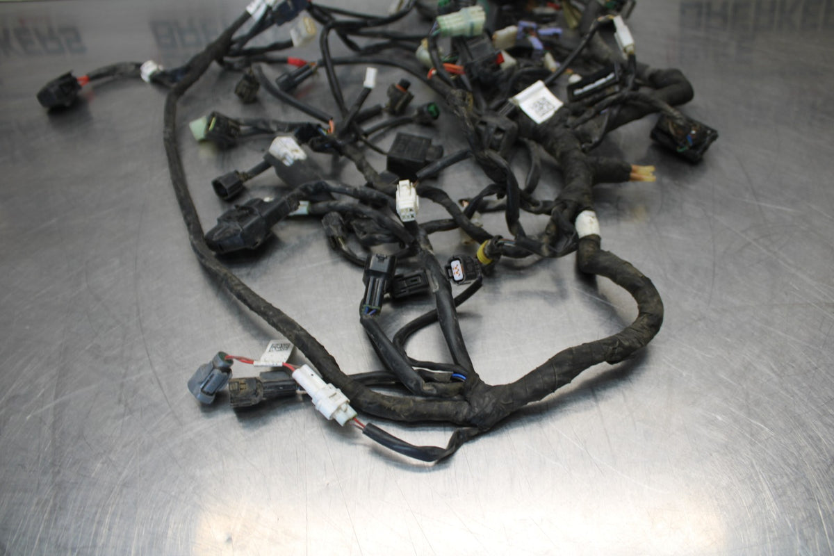 18-22 HUSQVARNA VITPILEN 701 MAIN ENGINE WIRING HARNESS MOTOR WIRE LOOM BB198