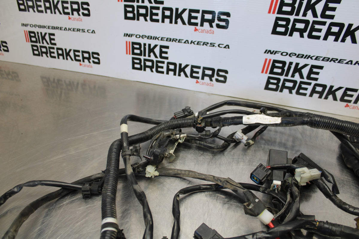 09 YAMAHA V STAR 950 MAIN ENGINE WIRING HARNESS MOTOR WIRE LOOM BB172
