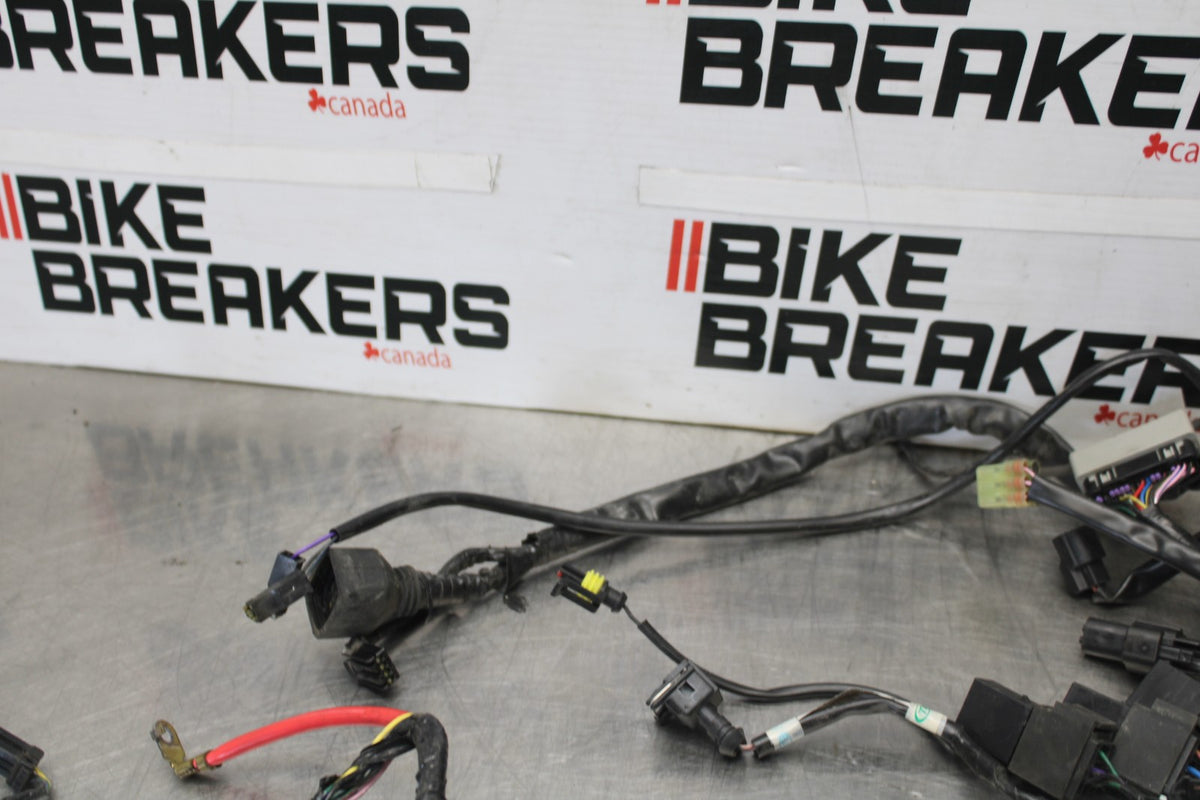12 TRIUMPH STREET TRIPLE R MAIN ENGINE WIRING HARNESS MOTOR WIRE LOOM BB914