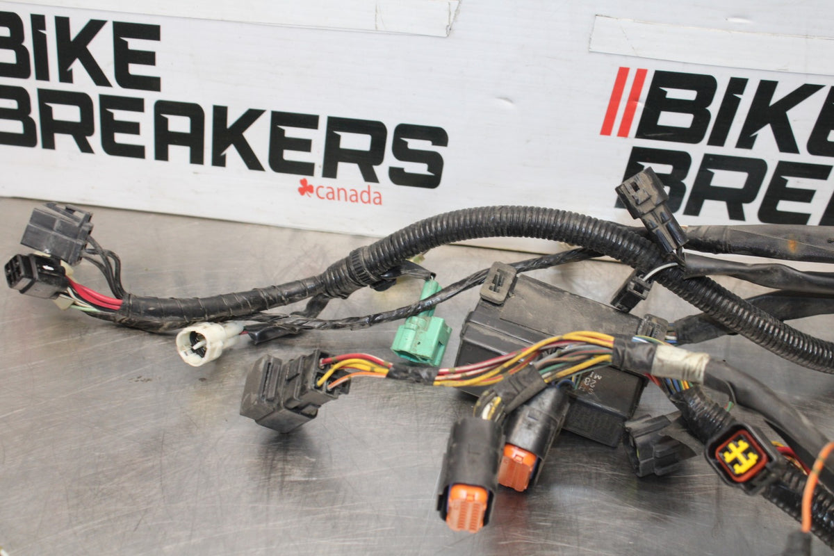 05-09 SUZUKI BOULEVARD C90 MAIN ENGINE WIRING HARNESS MOTOR WIRE LOOM BB918