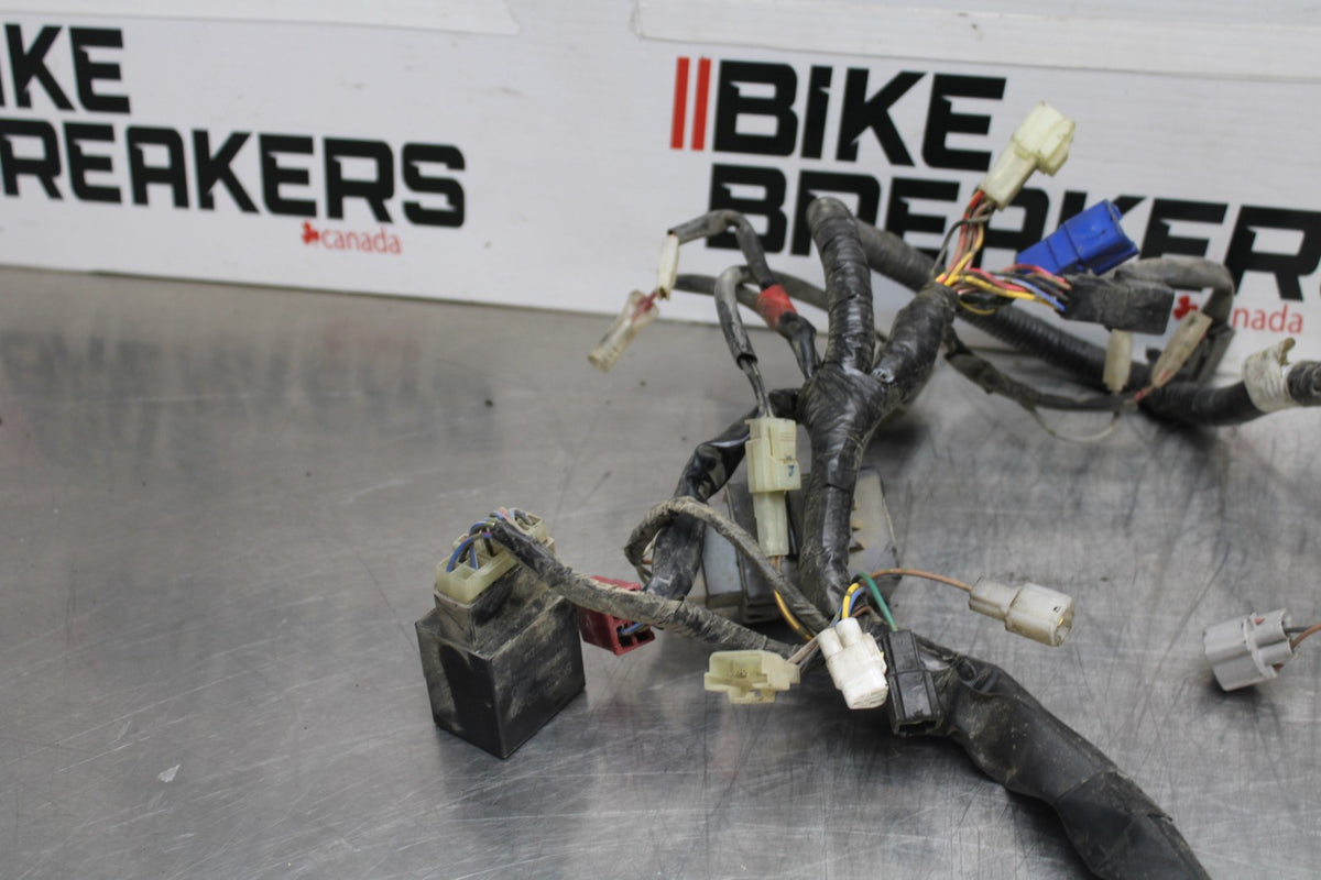 08 YAMAHA V STAR 1100 XVS1100AW CLASSIC MAIN ENGINE WIRING HARNESS BB916