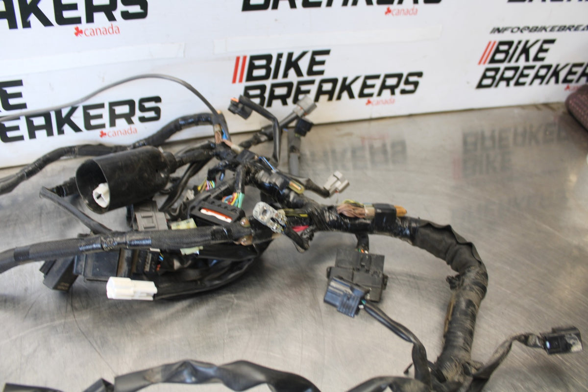 24-25 KAWASAKI NINJA 500 ABS MAIN ENGINE WIRING HARNESS WIRE LOOM BB899