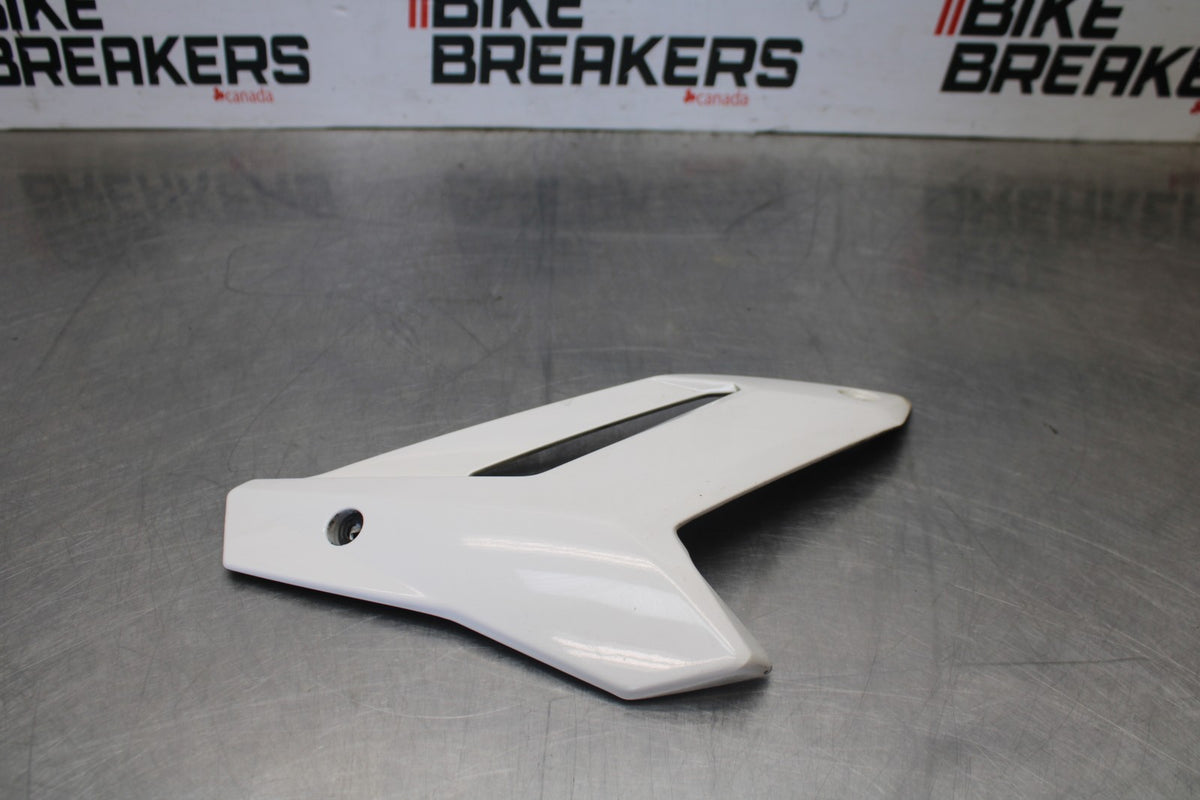 17-20 BMW S1000R LEFT LOWER BOTTOM BELLY SIDE FAIRING COWL BB909
