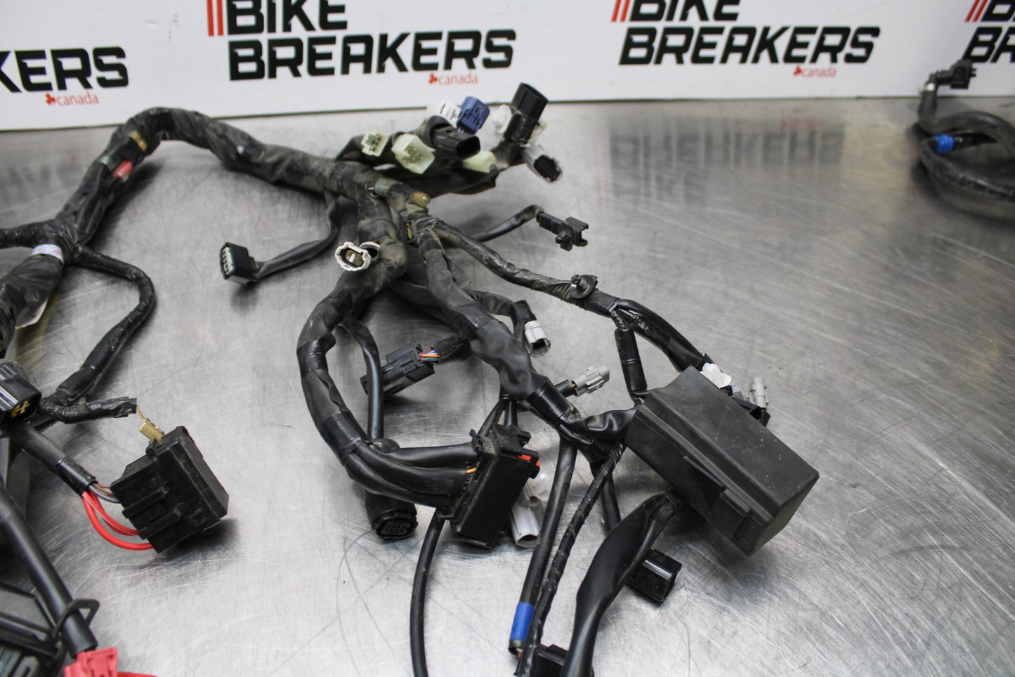 22-25 YAMAHA YZF R7 MAIN ENGINE WIRING HARNESS MOTOR WIRE LOOM  BB176
