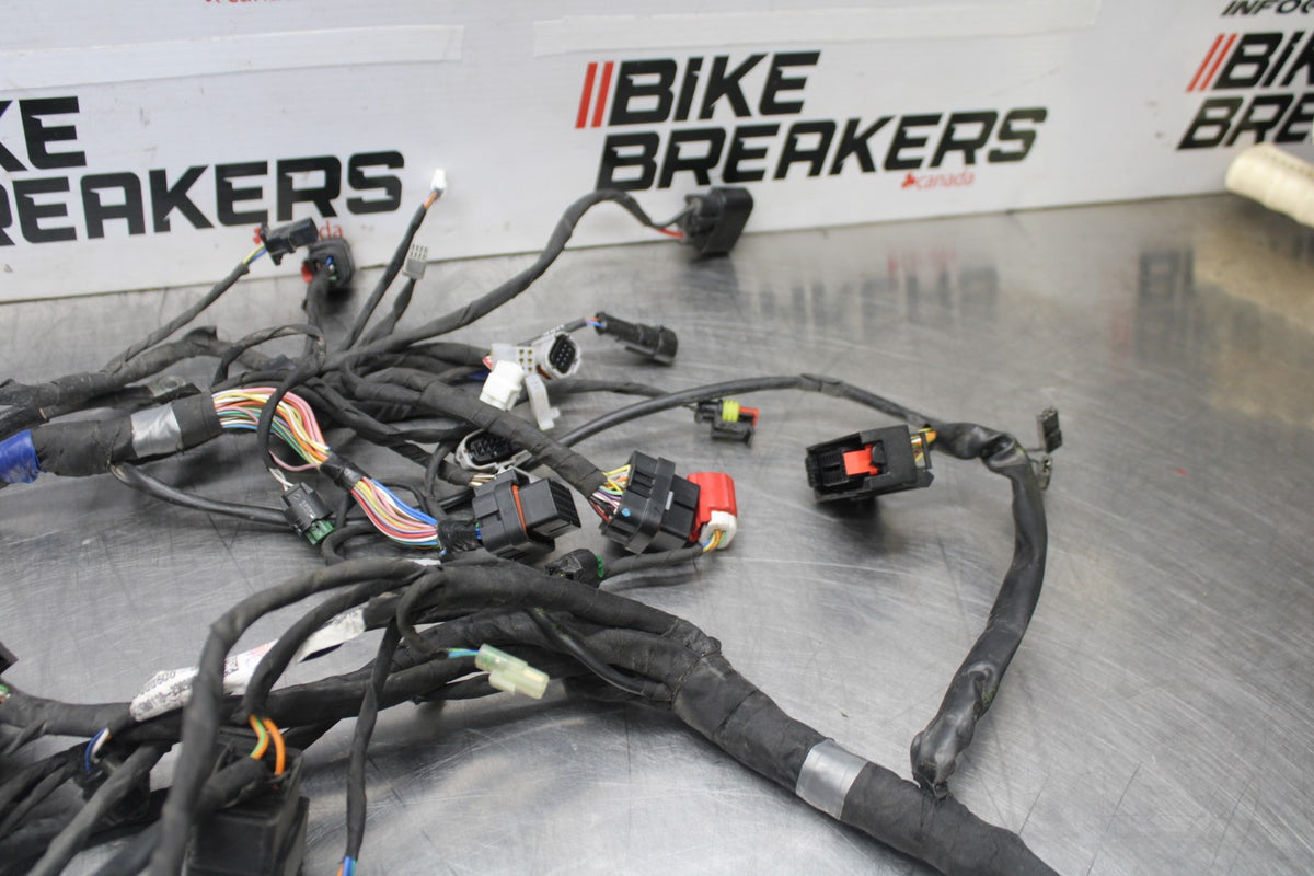 24 APRILIA TUONO V4 1100 FACTORY ABS MAIN ENGINE WIRING HARNESS WIRE LOOM BB887