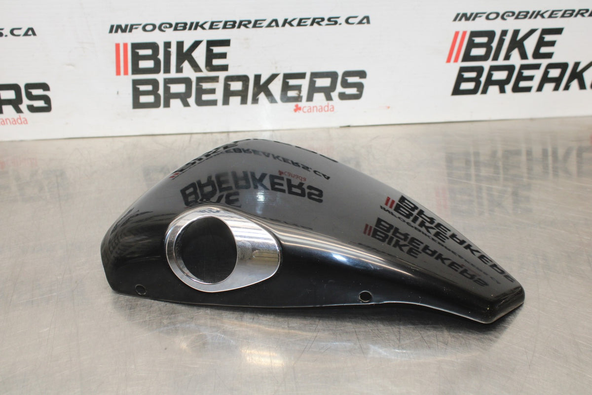 09 HARLEY-DAVIDSON SPORTSTER 1200 CUSTOM XL1200C OIL TANK SIDE COVER PANEL BB776