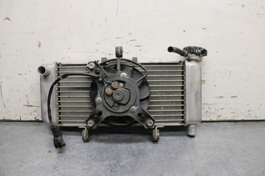 15-16 HONDA CB300F ENGINE RADIATOR MOTOR COOLER COOLING RADIATER BB740