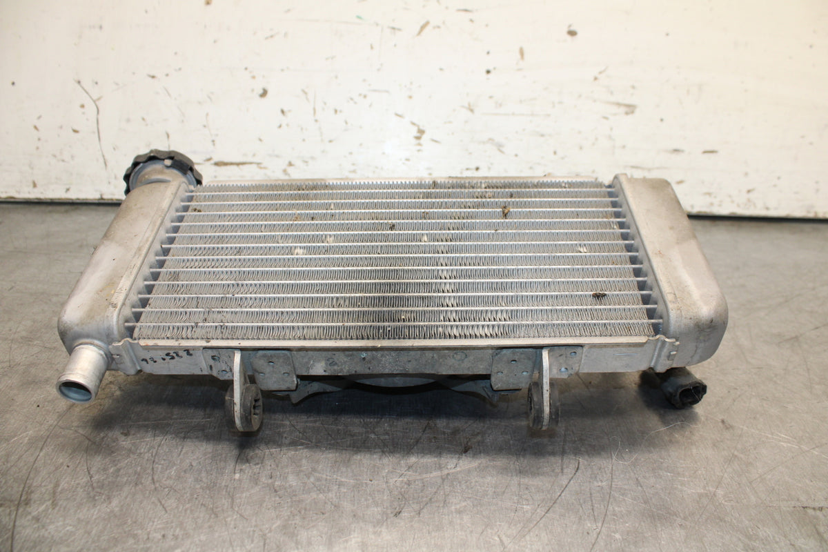 15-16 HONDA CB300F ENGINE RADIATOR MOTOR COOLER COOLING RADIATER BB740