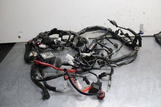 22-24 YAMAHA XSR900 MAIN ENGINE WIRING HARNESS MOTOR WIRE LOOM BB710