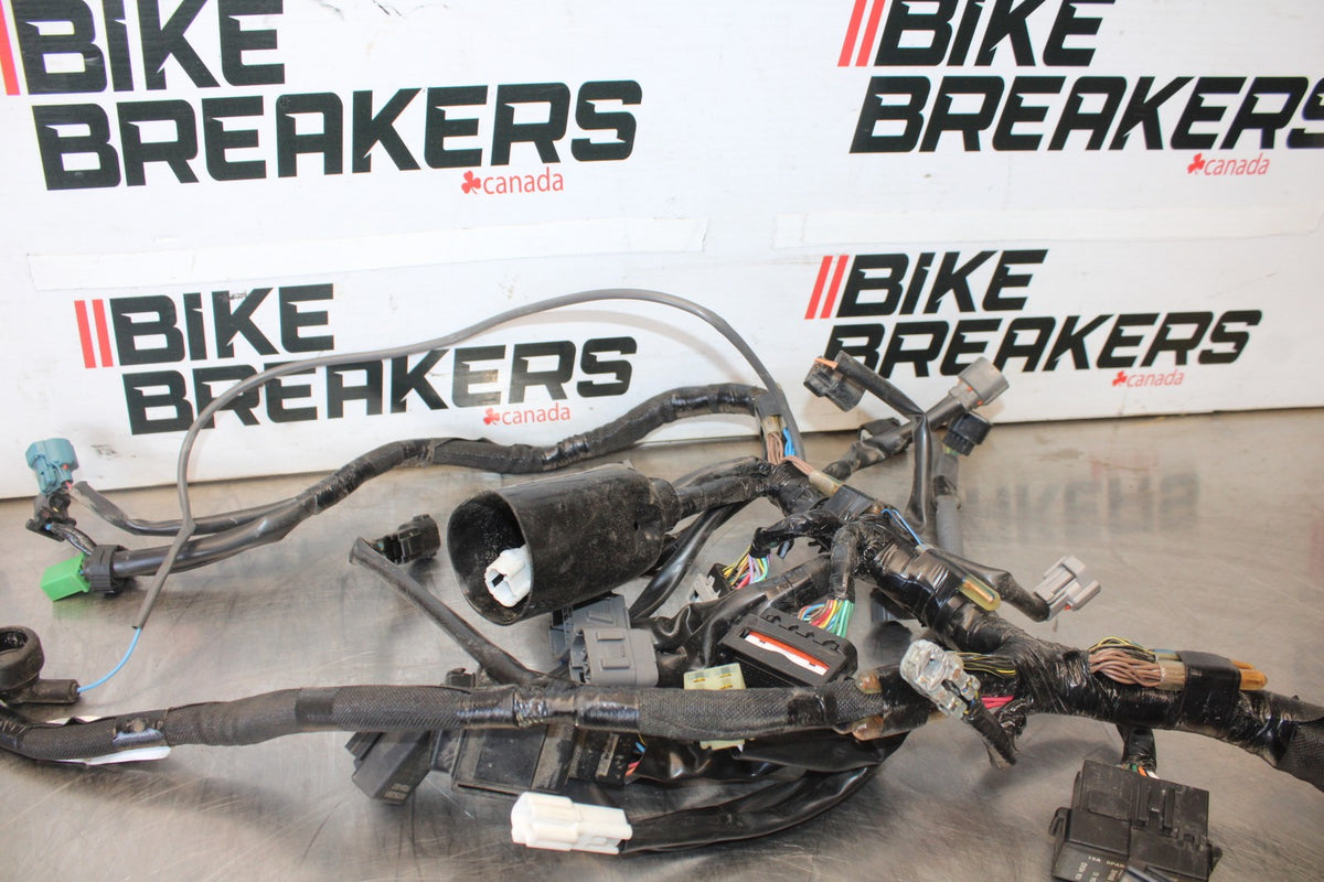 24-25 KAWASAKI NINJA 500 ABS MAIN ENGINE WIRING HARNESS WIRE LOOM BB899