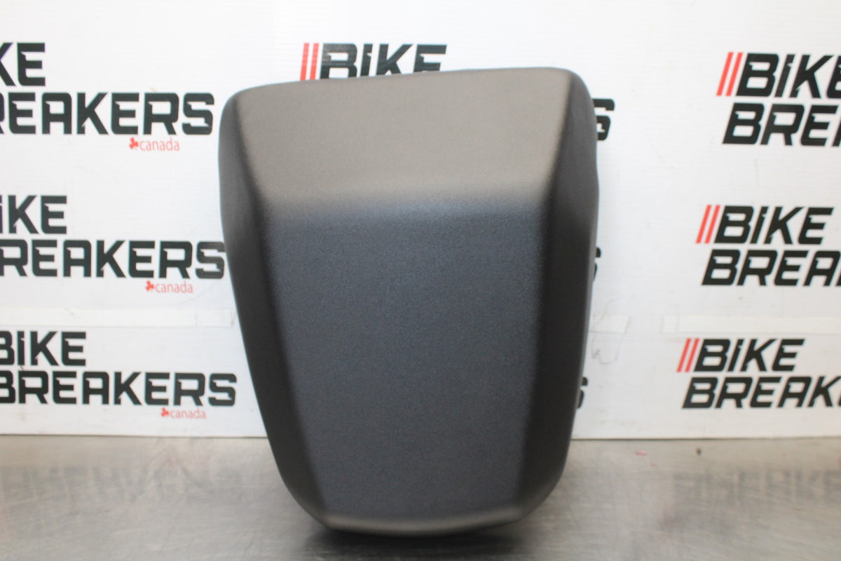 22 HARLEY-DAVIDSON PAN AMERICA 1250 REAR BACK PASSENGER TANDEM SEAT PAD BB910