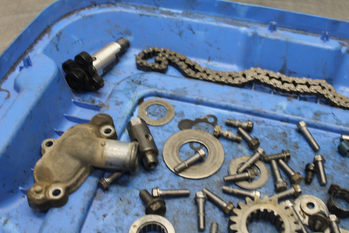 15 TRIUMPH TIGER 800 ENGINE BOLTS HARDWARE MOTOR SCREWS BB873