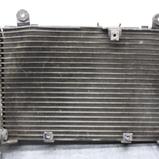 2008 Honda CBF1000 ENGINE RADIATOR MOTOR COOLER COOLING RADIATER BB641