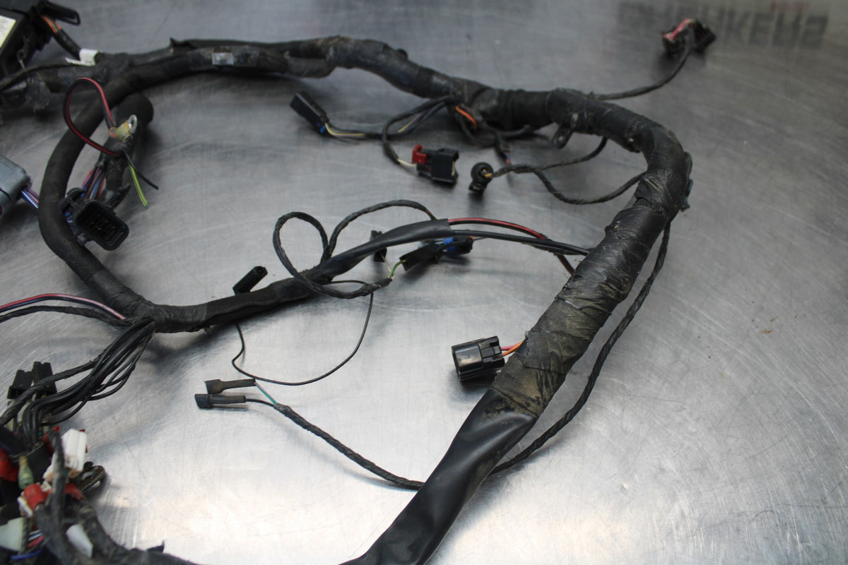 03-17 VICTORY VEGAS MAIN ENGINE WIRING HARNESS MOTOR WIRE LOOM BB259