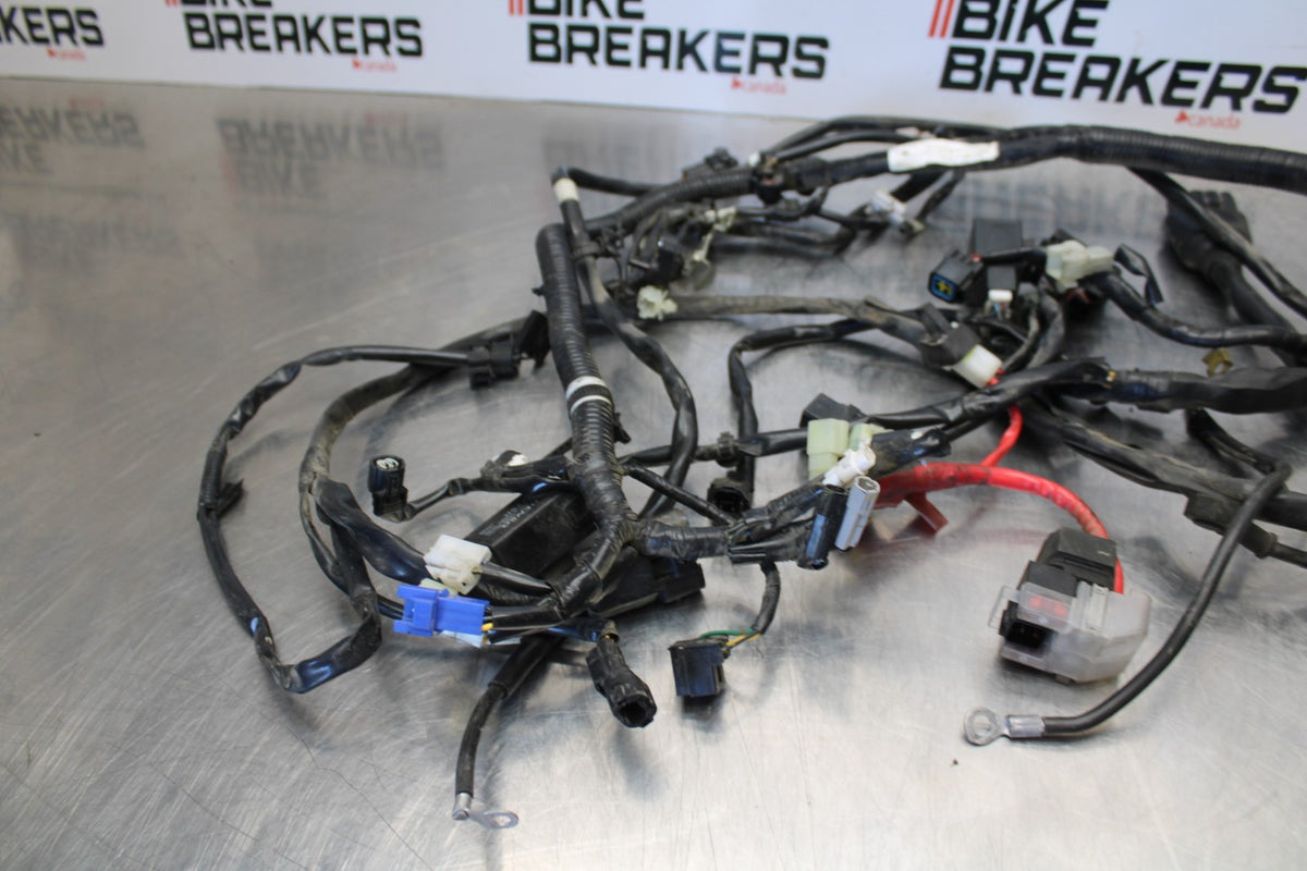 09 YAMAHA V STAR 950 MAIN ENGINE WIRING HARNESS MOTOR WIRE LOOM BB172