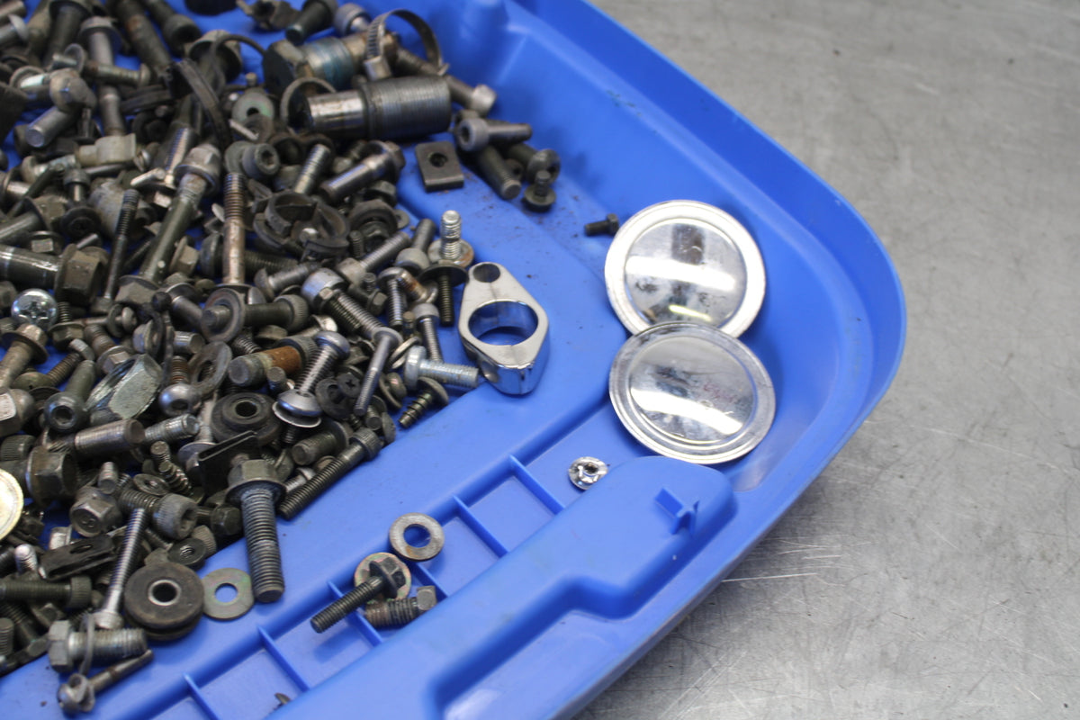 05-06 YAMAHA ROYAL STAR MOUNTING BOLTS HARDWARE MOTOR SCREWS BB697