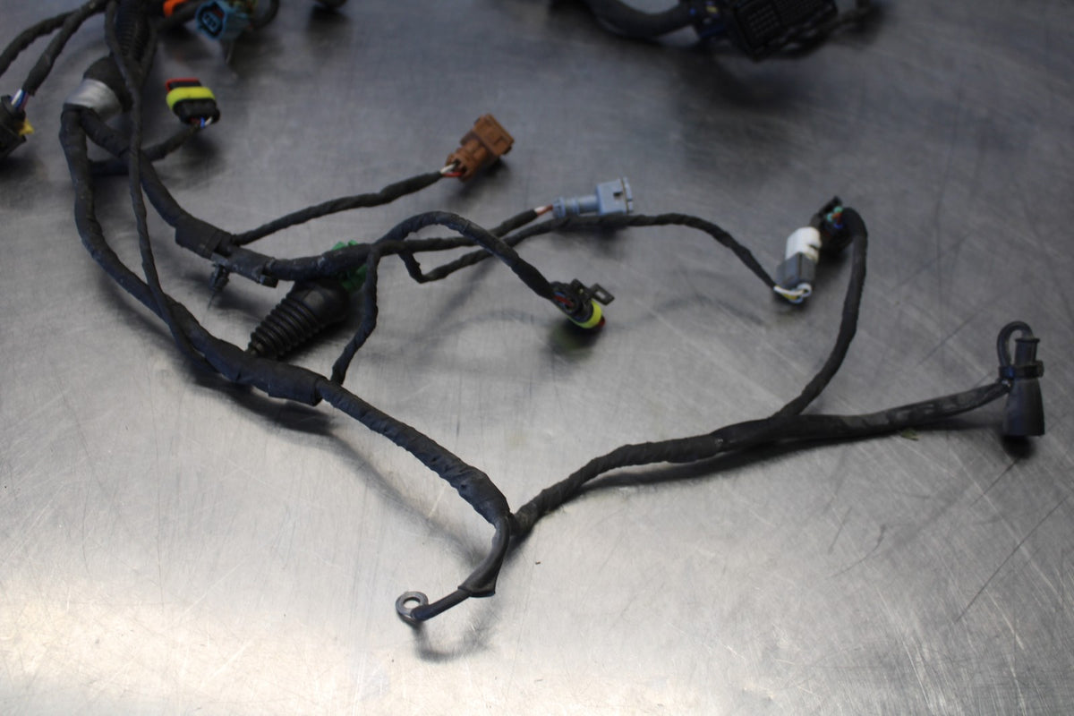24 APRILIA TUONO V4 1100 FACTORY ABS SUB WIRING HARNESS SUB WIRE LOOM BB887