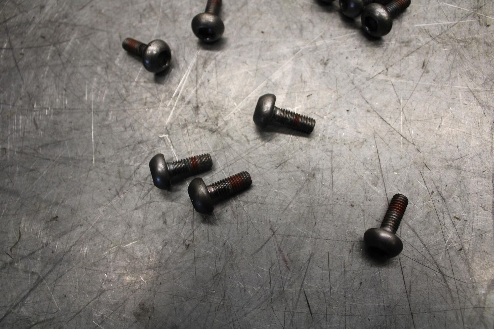 1999 Honda Super Hawk 1000 VTR1000F FRONT  ROTOR BOLTS DISC HARDWARE SCREW BB51