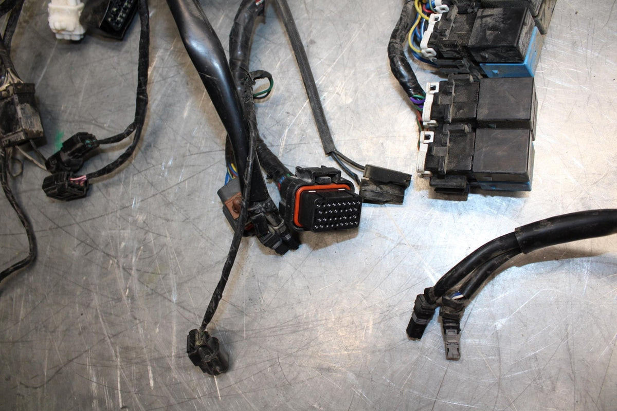 17-21 TRIUMPH STREET TRIPPLE R ABS MAIN  WIRING HARNESS MOTOR WIRE LOOM bb452