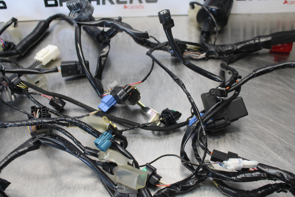 23-24 KAWASAKI NINJA ZX14R NEW!!  MAIN ENGINE WIRING HARNESS WIRE LOOM BB169