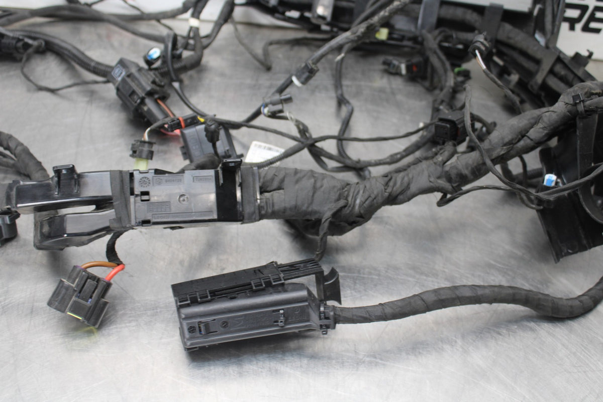 20-23 BMW F900R MAIN ENGINE WIRING HARNESS MOTOR WIRE LOOM BB923