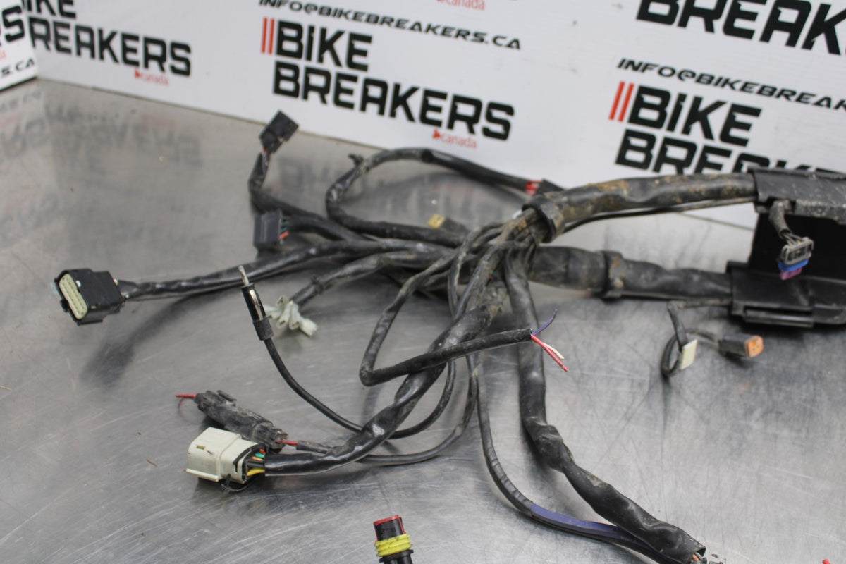 08 HARLEY-DAVIDSON ELECTRA GLIDE POLICE EFI FLHTPI MAIN WIRING HARNESS BB816