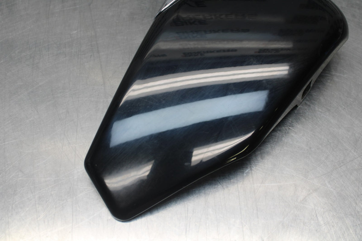 09 HARLEY-DAVIDSON SPORTSTER 1200 CUSTOM XL1200C OIL TANK SIDE COVER PANEL BB776