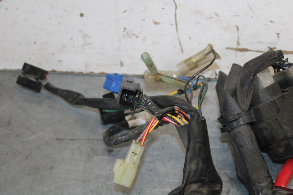 05-06 YAMAHA ROAD STAR XV1700A MAIN ENGINE WIRING HARNESS MOTOR WIRE LOOM BB703
